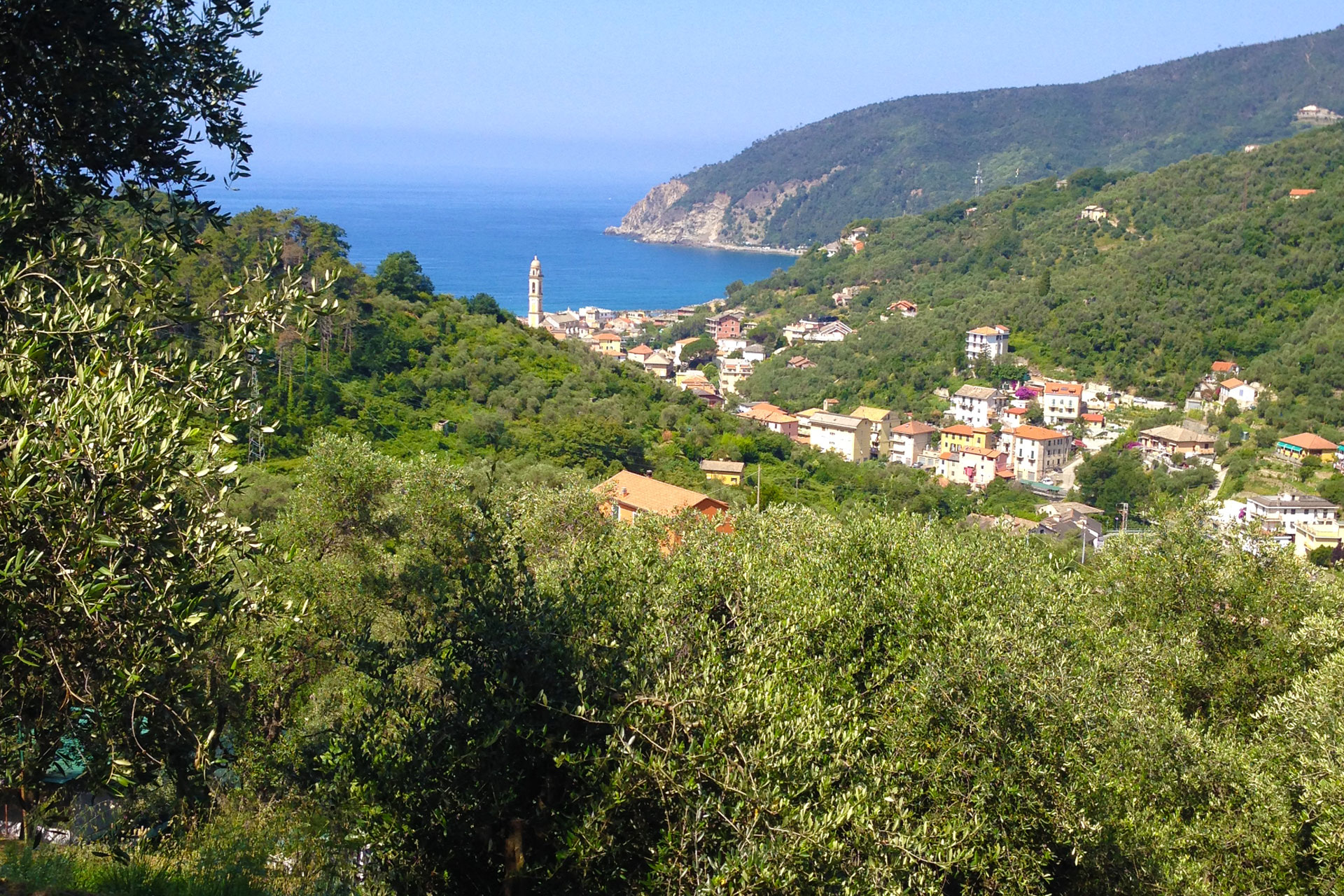 Agriturismo Le Grigue — photo 4
