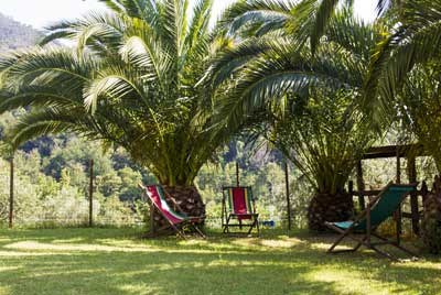 Agriturismo Le Grigue — photo 7