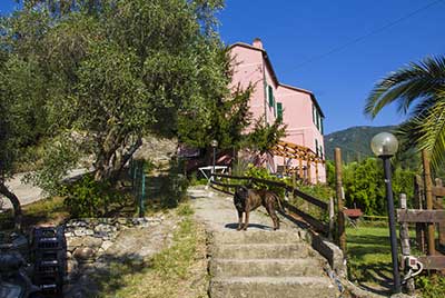 Agriturismo Le Grigue — photo 8